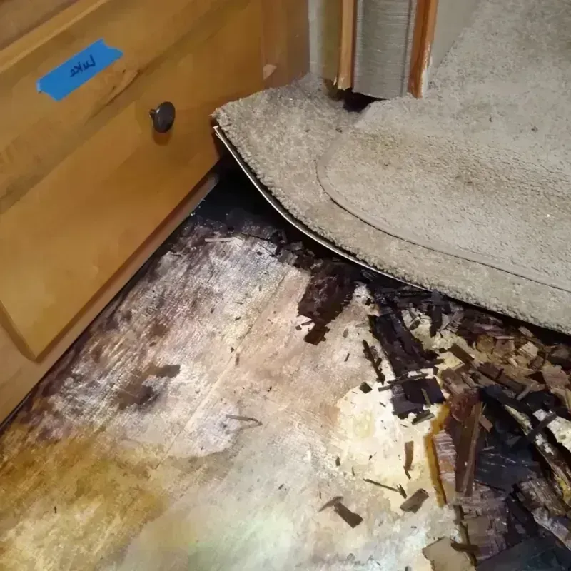 Wood Floor Water Damage in Ashland, OR